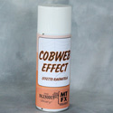 Photo of Cobweb Effect